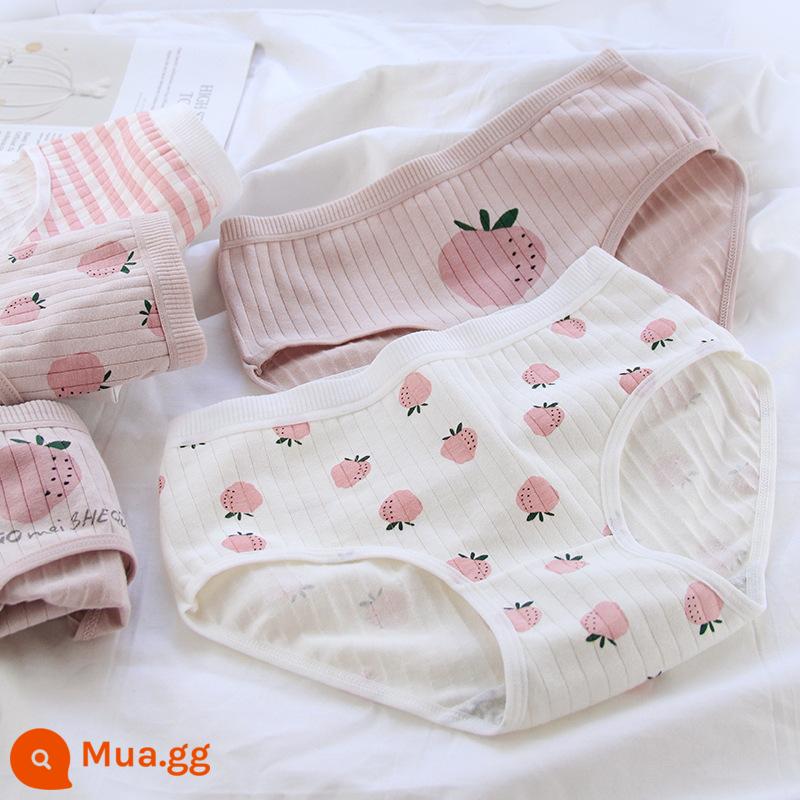 Quần lót cotton cho bé gái từ trung tuổi trở lên quần an toàn quần sịp cotton cho bé gái 100% cotton kháng khuẩn 12-15 tuổi - Bộ Dâu Mới 5 Món