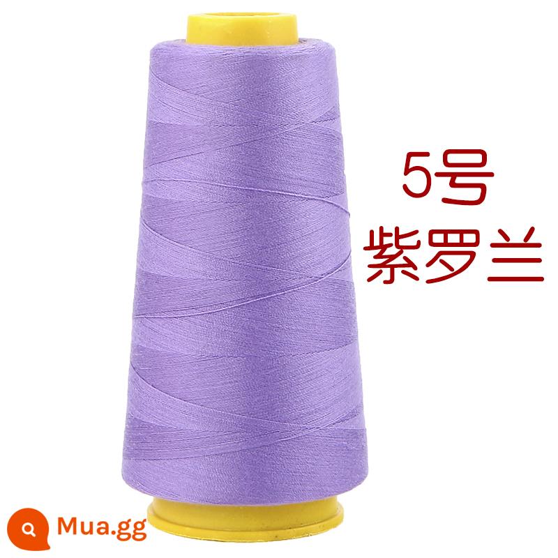 Hộ gia đình polyester fiber thread đường may thủ công đường chỉ may đường chỉ đen đường chỉ trắng bộ kim chỉ cuộn nhỏ đường chỉ may 402 đường chỉ may tay màu đỏ - Tím (2000 mét/cuộn)