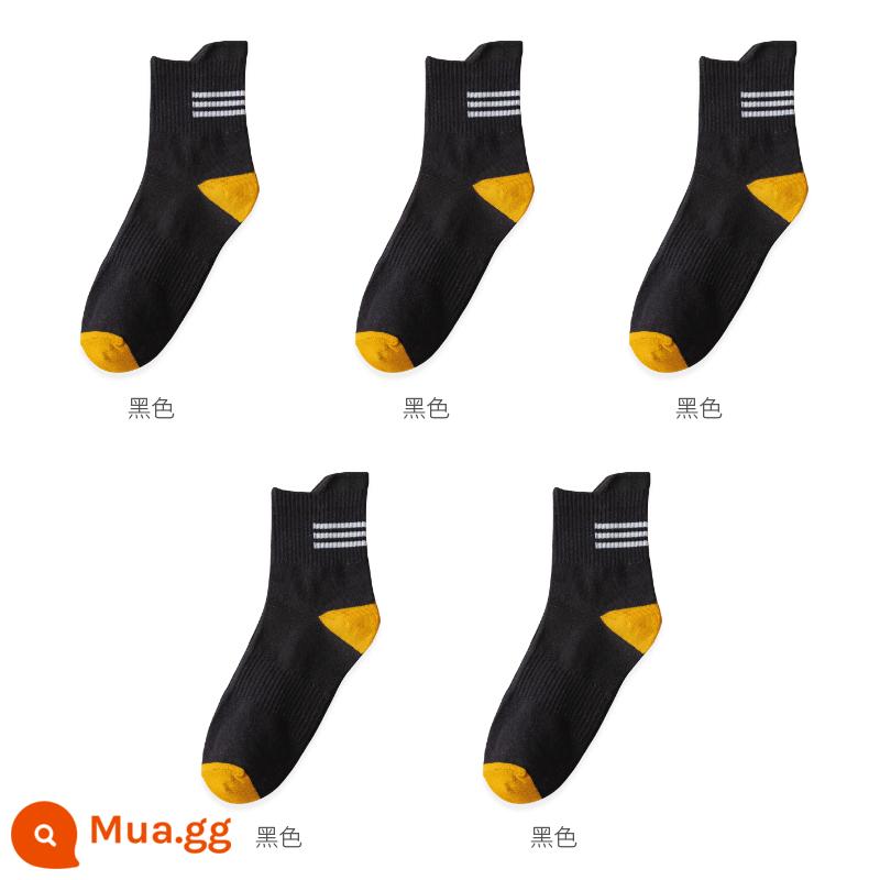 Vớ nam tính giữa, mồ hôi, mùa xuân đen, mùa thu và mùa đông nam không -cotton Stockings Thể thao Hệ thống Nhật Bản - 5 màu đen (năm đôi)