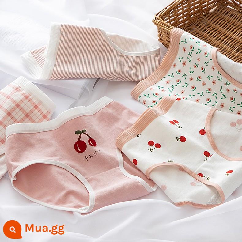 Quần lót cotton cho bé gái từ trung tuổi trở lên quần an toàn quần sịp cotton cho bé gái 100% cotton kháng khuẩn 12-15 tuổi - Combo 5 quả anh đào Cuihua mới