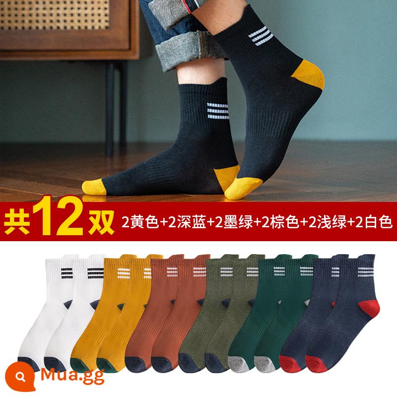 Vớ nam nam -tube dài dài polyester polyester mùa thu mùa thu và mùa đông chống mồ hôi hấp thụ các chàng trai - 2 vàng 2 xanh đậm 2 xanh đậm 2 nâu 2 xanh nhạt + 2 trắng [12 đôi]