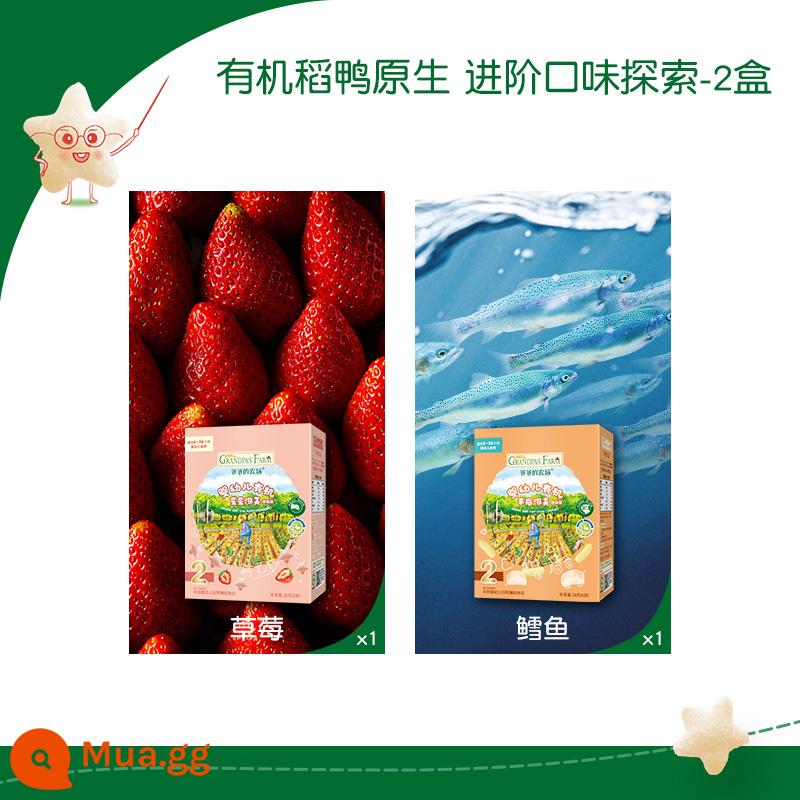 Grandpa's Farm Organic Infant Star Puff Cod Multi-flav Finger Puff June + Baby Snacks - [Khám phá hương vị nâng cao-2 hộp] Hương dâu*1+Hương cá tuyết*1