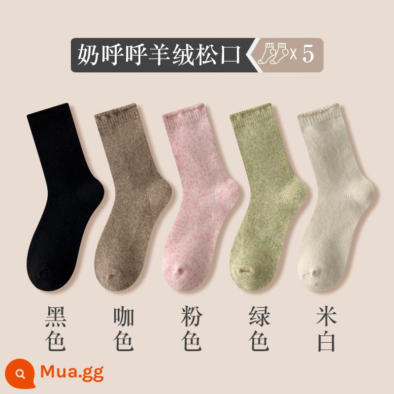 Sang Trọng Tất Nữ Mùa Thu Đông Len Giữa Ống Tất Dày Cashmere Màu Kẹo Tất Lông Ấm Áp Giấc Ngủ giam Tất - [Thành phần 3] 5 đôi - đen + cà phê + hồng + xanh + trắng nhạt