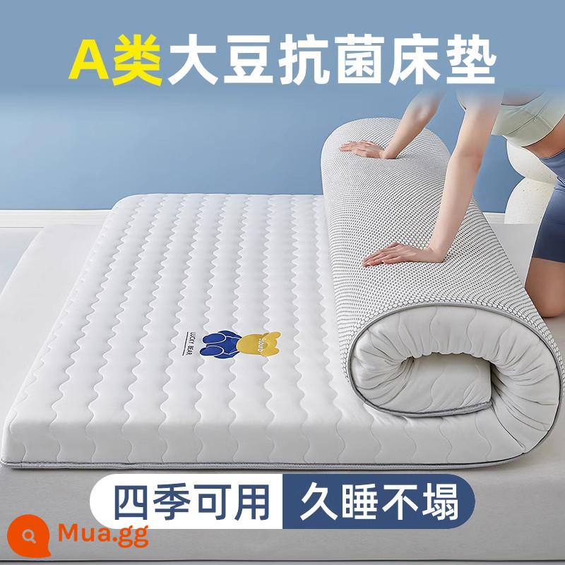 Nệm đậu nành loại A ký túc xá sinh viên chuyên dụng tatami đơn đệm mềm cho thuê nhà nệm thảm ngủ sàn - Gấu con - màu trắng - dày khoảng 9cm (Kháng khuẩn loại A, dùng được mọi mùa)