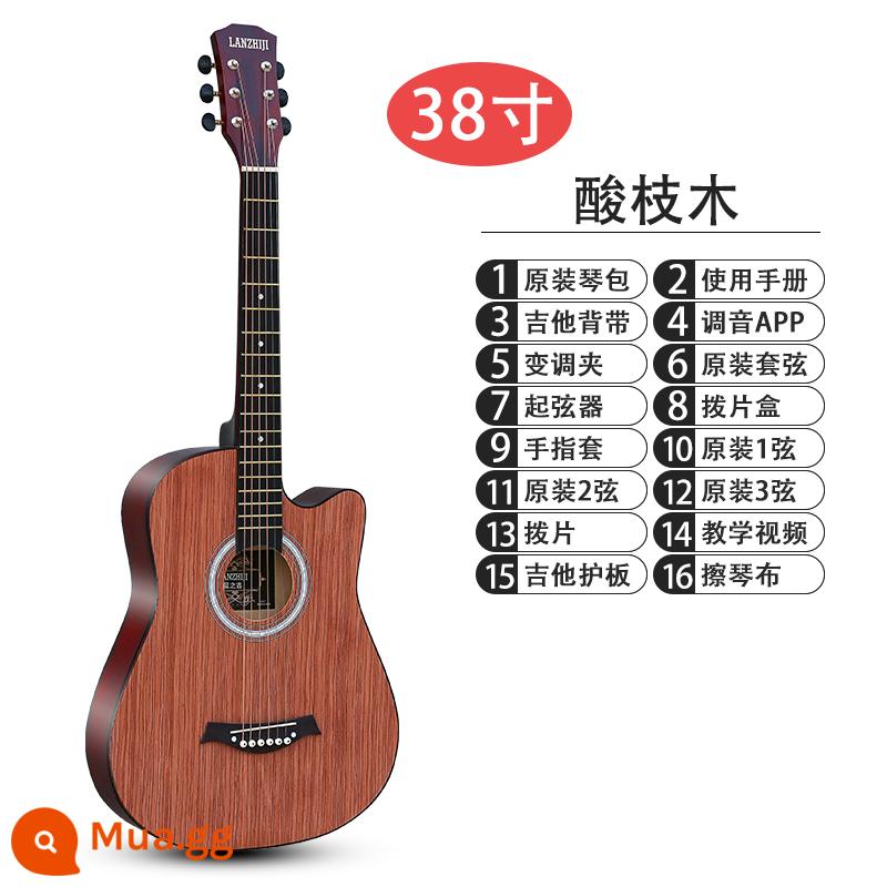 Học sinh mới bắt đầu chơi guitar 41 inch bảng đơn 38 inch dành cho người mới bắt đầu thực hành học sinh nam và nữ piano trình độ đầu vào nhạc cụ guitar acoustic dân gian - Gỗ cẩm lai 38 inch [veneer] + bộ phụ kiện đầy đủ