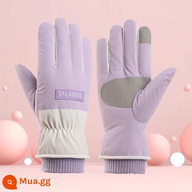 Găng tay trượt tuyết cho nữ vào mùa đông cộng với nhung và cotton giữ nhiệt dày giúp chống lạnh, chống gió và chống nước Găng tay đi xe máy màn hình cảm ứng cho nam - Màu tím [S340 phù hợp với màu BALANXUE]