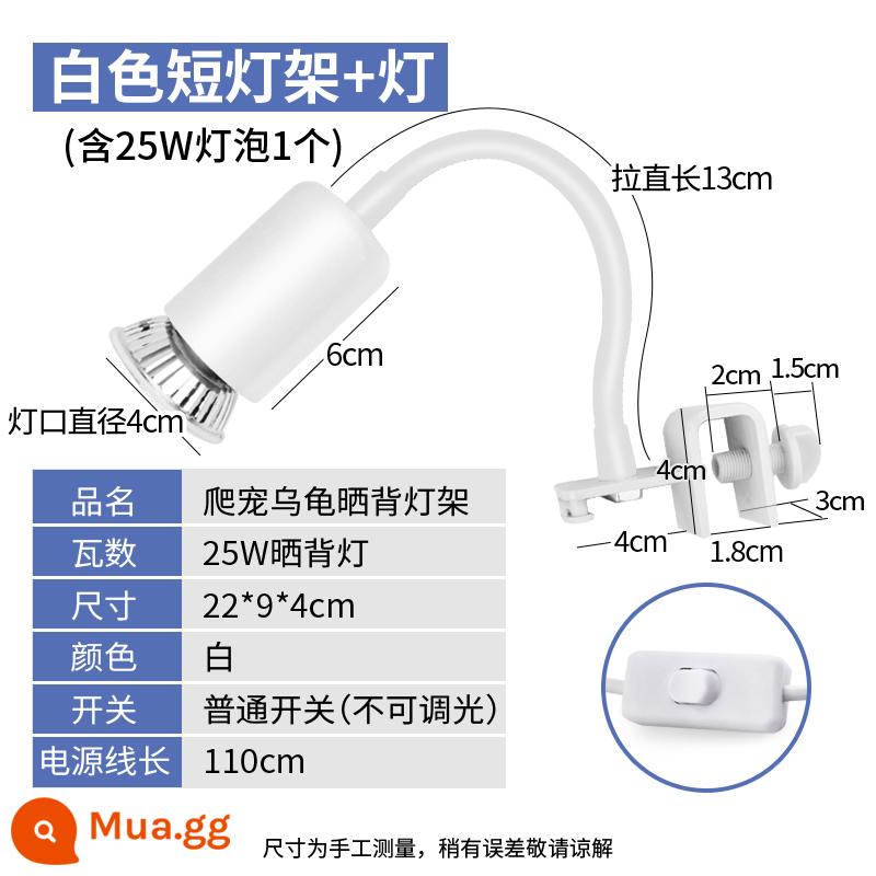 Rùa bò thú cưng đèn sưởi UVA sưởi ấm UVB cách nhiệt đèn năng lượng mặt trời rùa bóng đèn thú cưng rùa đèn sưởi ấm liên tục - Chân đèn ngắn màu trắng [công tắc thông thường] + 1 bóng đèn 25W