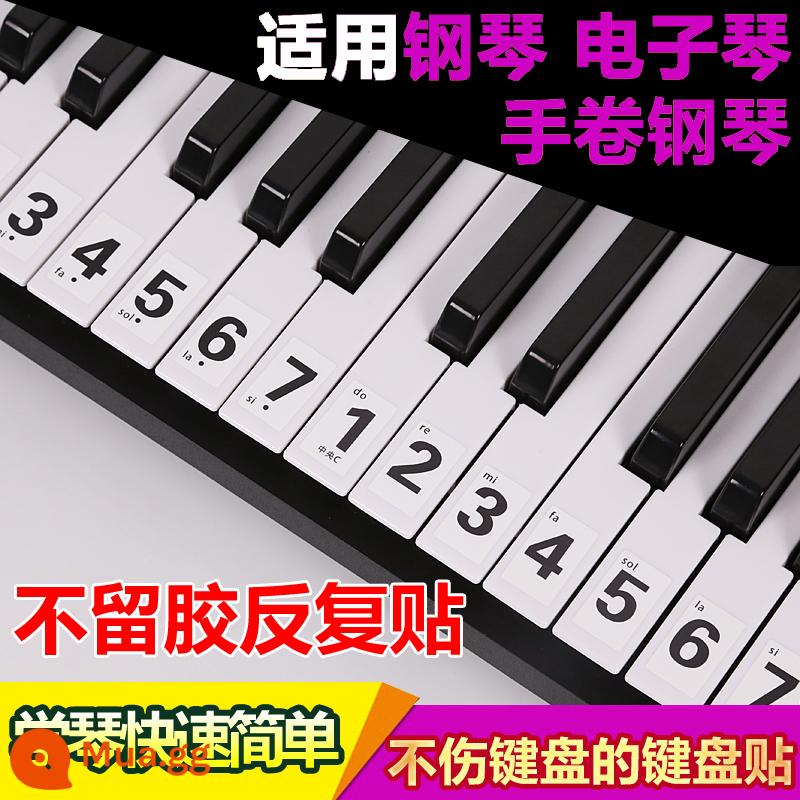 Người mới bắt đầu Miếng dán bàn phím đàn piano 88 phím 54/49/37 ký hiệu đơn giản Đàn piano điện tử Miếng dán bàn phím 61 phím Miếng dán ghi chú nút - Nhãn dán phím trắng 88 phím (có kèm khăn lau)