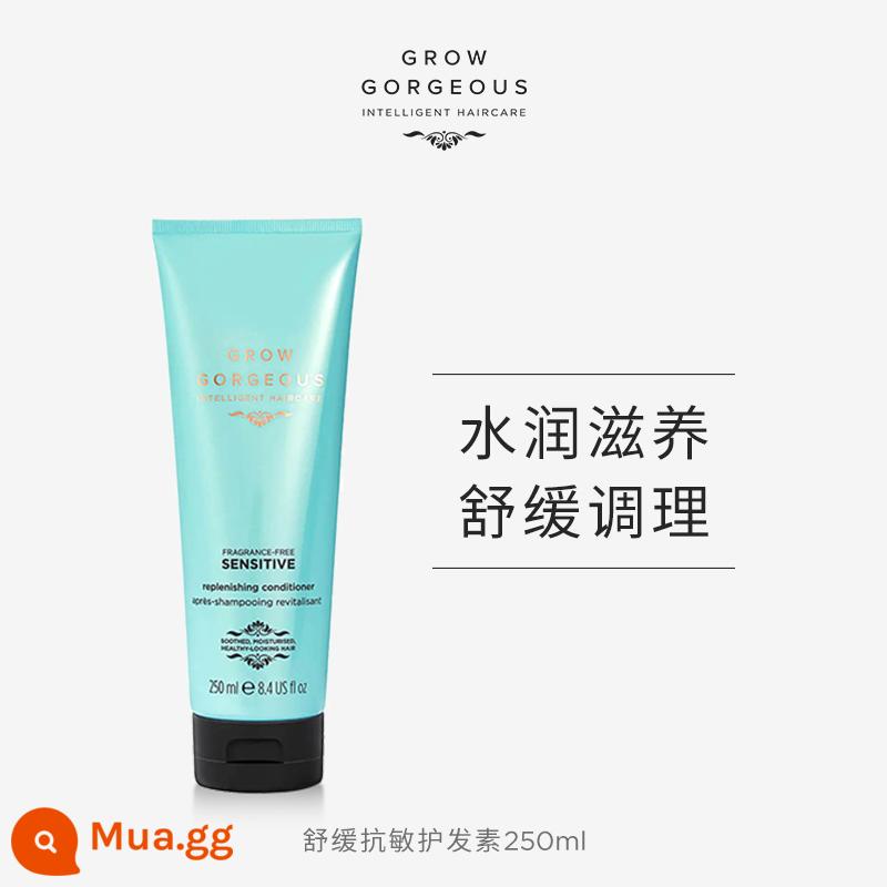 [Mua ngay] Tuýp bột nhỏ GrowGorgeous đầy đặn gg dầu gội kiểm soát dầu dưỡng ẩm chân tóc - Dầu xả làm dịu da chống dị ứng (soomin)