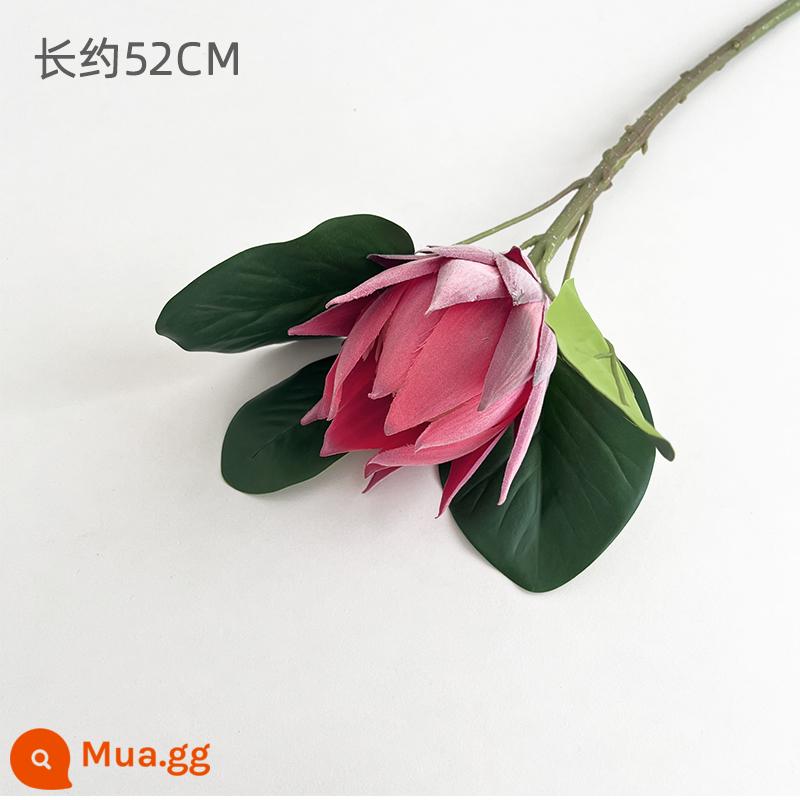 Xinyou 2024 Năm Mới Sản Phẩm Mới Mô Phỏng Đôi Lily Bó Hoa Giả Hoa Handmade Nghệ Thuật Tặng Đồ Trang Trí - Hoa hoàng đế, màu đỏ hồng, đơn tính, dài khoảng 52cm