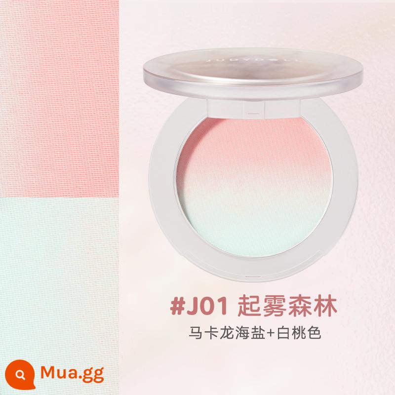 Judydoll hoa cam gradient má hồng tấm hồng hào sữa nướng đào má hồng xanh má hồng tím trắng tự nhiên học sinh - J01 Rừng Sương Mù