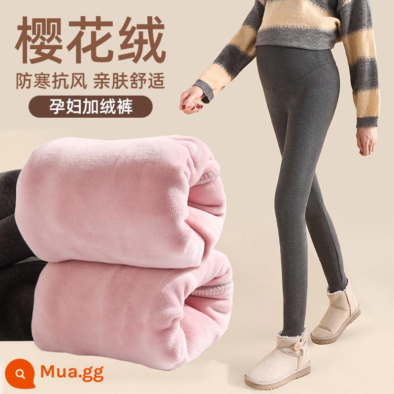 Quần bên trong của phụ nữ mang thai cộng với nhung mùa đông quần cotton dày cừu nhung ấm quần của phụ nữ mang thai mùa thu và mùa đông áo khoác ngoài quần mùa đông - 480G hoa anh đào thường nhung-xám đậm