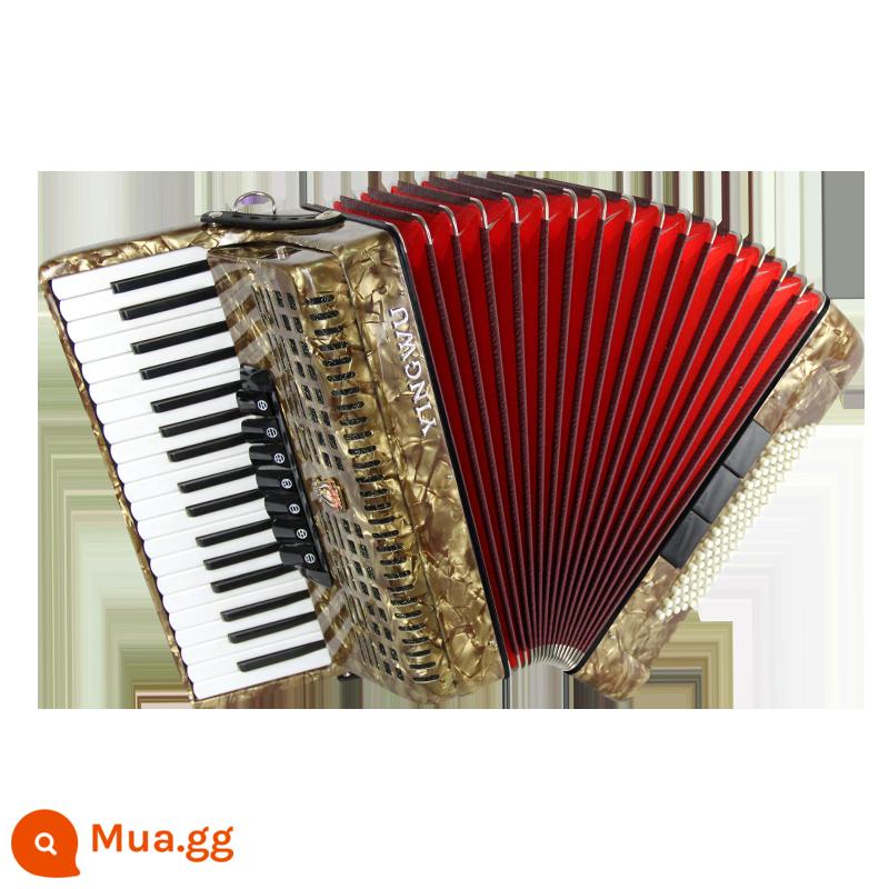 Vẹt Accordion 8/32/48/60/96/120 Bass Ba hoặc Bốn Hàng Lò Xo Phím Accordion dành cho Người Mới Bắt Đầu Chơi - 96 âm trầm đồng YW-871