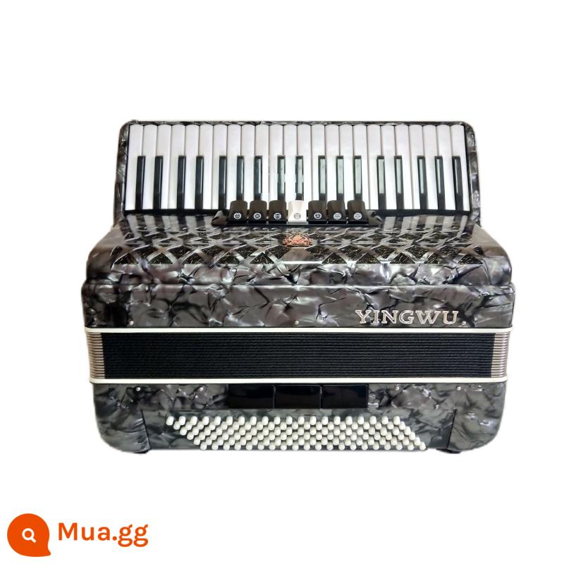 Vẹt Accordion 8/32/48/60/96/120 Bass Ba hoặc Bốn Hàng Lò Xo Phím Accordion dành cho Người Mới Bắt Đầu Chơi - 120 bass 3 hàng lò xo màu xám YW-827