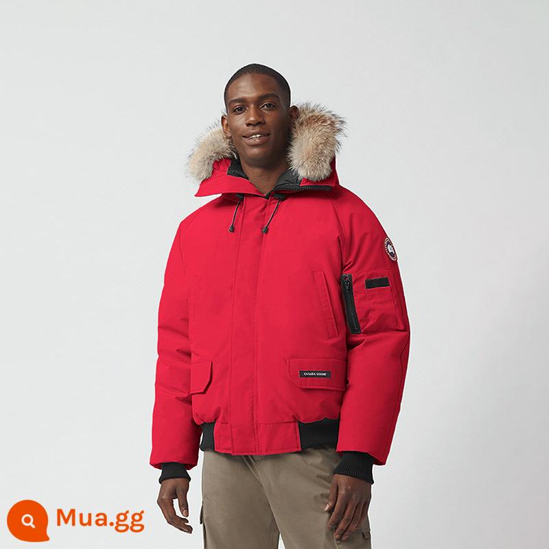 CANADA GOOSE Áo khoác bomber nam Goose Chilliwack Canada Goose Down Jacket 7999M - 11 màu đỏ