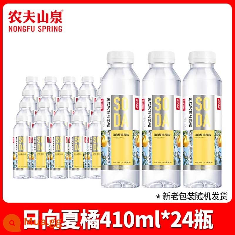 Nước soda suối núi Nongfu không đường 410ml*15 chai nguyên hộp đợt hàng giá đặc biệt cho bà bầu hương đào chanh trắng đặc biệt 24 - [24 chai] Hương vị Hinata Nat Tachibana