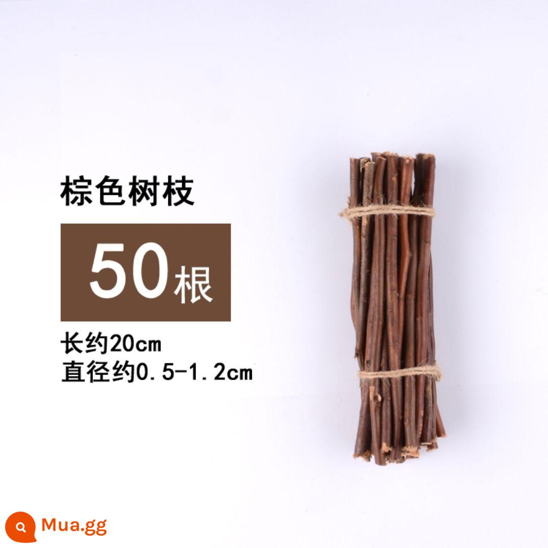 Khúc gỗ khô nhánh mẫu giáo handmade tự làm sáng tạo trang trí nhà cảnh bố trí phòng khách thanh gỗ nhỏ Sen Cục - Đoạn liễu nâu 20 cm 50 cái/bó