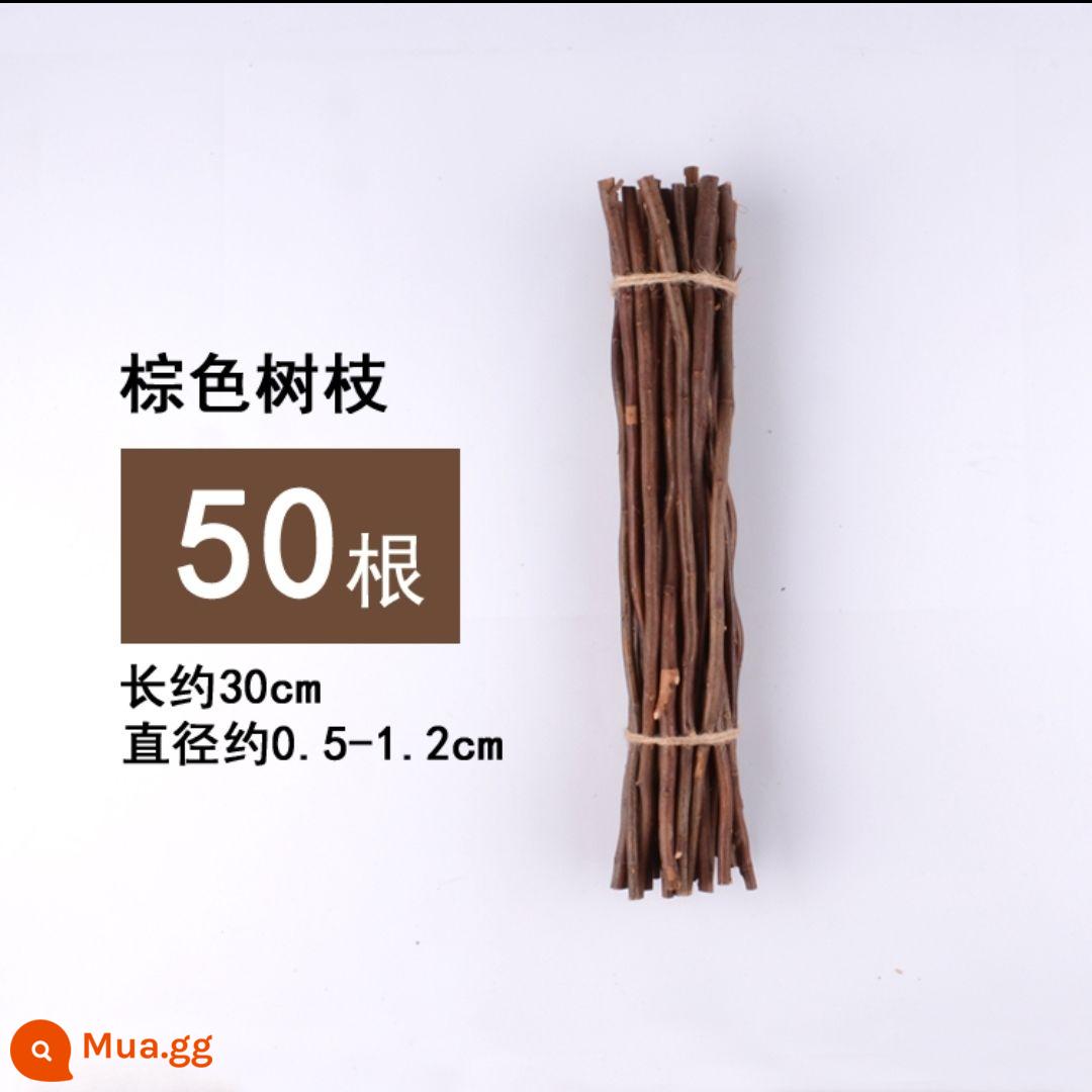 Khúc gỗ khô nhánh mẫu giáo handmade tự làm sáng tạo trang trí nhà cảnh bố trí phòng khách thanh gỗ nhỏ Sen Cục - Đoạn liễu nâu 30 cm 50 cái/bó