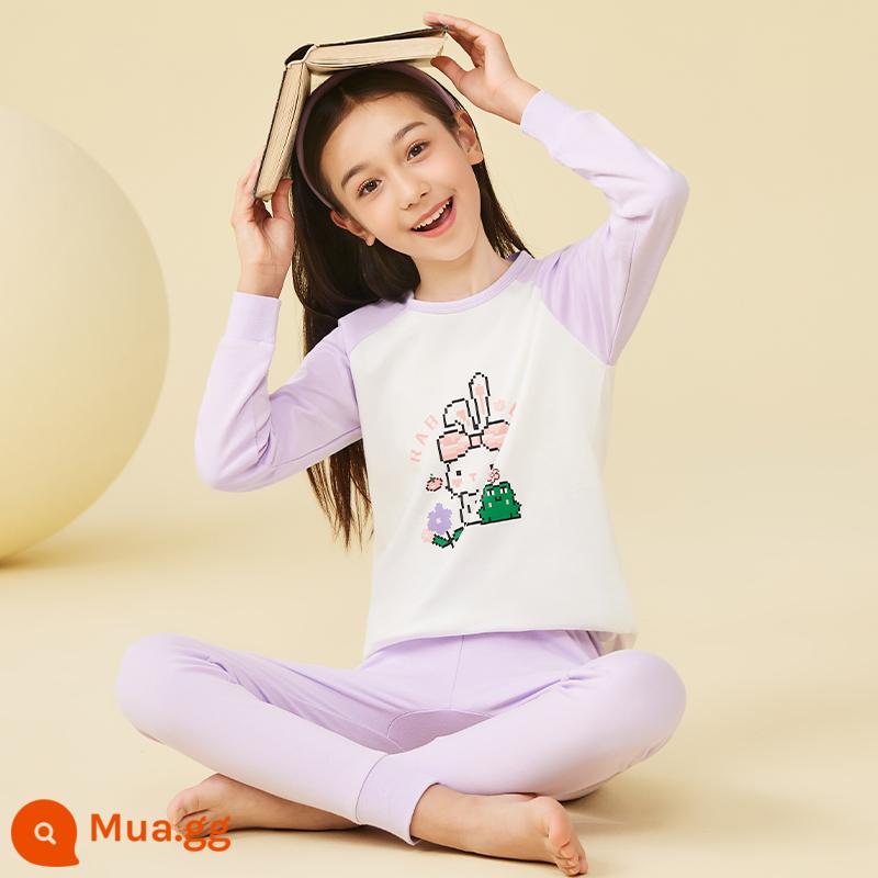 Bộ quần áo mùa thu và quần vệ sinh cho bé gái, đồ lót trẻ em bằng cotton nguyên chất, áo len cotton lớn cho trẻ em, lót bông, quần áo vệ sinh, quần vệ sinh, loại cơ bản A - Kiểu 365 [Cổ Tròn]