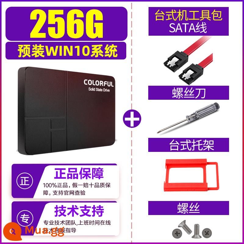 Ổ cứng thể rắn đầy màu sắc 500g 512g 1t máy tính để bàn máy tính xách tay giao diện sata3.0 ssd mới - 256GB [WIN10+ được cài đặt sẵn đi kèm bộ bốn sản phẩm]