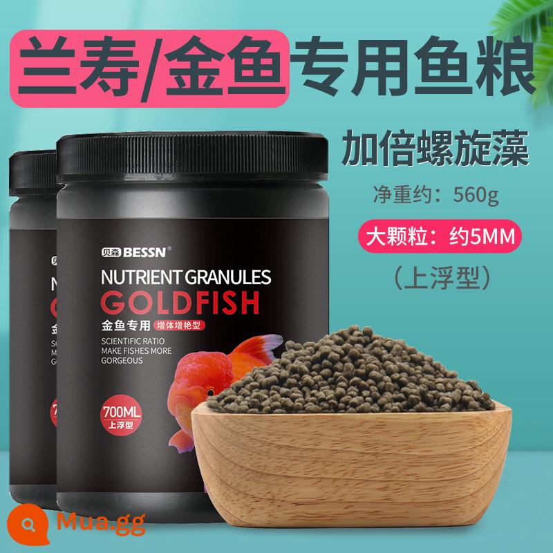 Thức ăn cho cá Lanshou cá vàng thức ăn đặc biệt sư tử Thái đầu sư tử protein cao chìm hạt nhỏ hộ gia đình đáy chìm thức ăn cho cá - Nổi [Lanshou Goldfish Hạt lớn 5mm] Tổng cộng 700ml × 2 thùng/560g