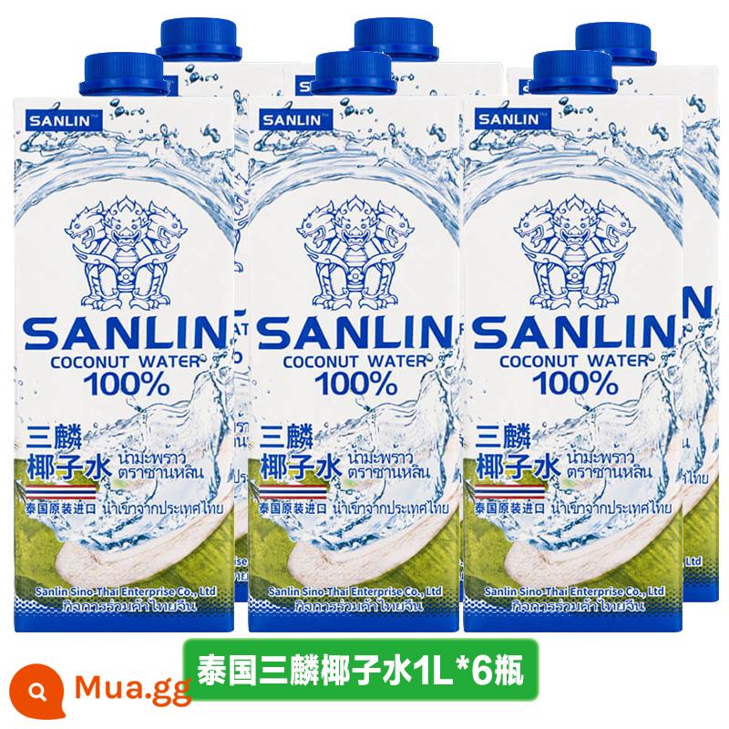 Nhập khẩu Thái Lan nếu là nước dừa chai lớn nước dừa nguyên chất nước dừa xanh 1L*2 hộp bổ sung chất điện giải thức uống thể lực 0 béo - [6 chai] Nước dừa Sanlin 1L*6 chai [Nhập khẩu từ Thái Lan]