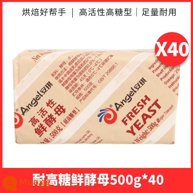 Bột men khô hoạt tính cao ít đường Angel 500g mì ăn liền thương mại, bánh bao hấp, bánh bao hấp, bột nở bánh ngọt Trung Quốc - Men tươi kháng đường cao 500g*40 miếng [giao trong hộp cách nhiệt có đá]