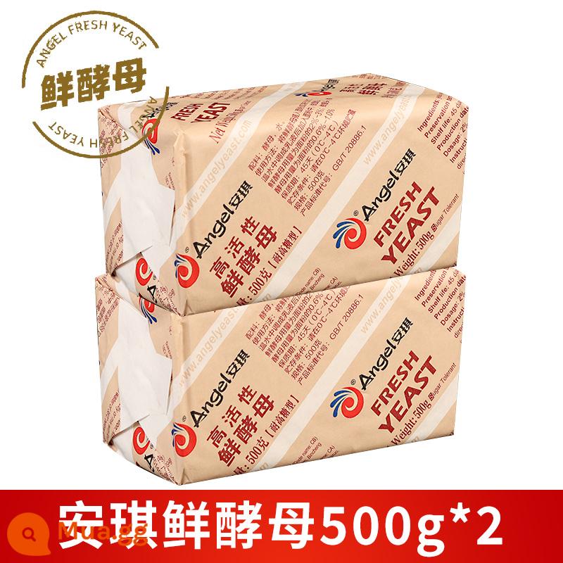 Bột men khô hoạt tính cao ít đường Angel 500g mì ăn liền thương mại, bánh bao hấp, bánh bao hấp, bột nở bánh ngọt Trung Quốc - Men tươi kháng đường cao 500g*2 miếng [giao trong hộp cách nhiệt có đá]