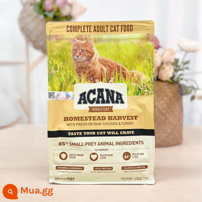 Beethoven Pet/Canada ACANA AI Ken's Fast Feast Kitten Food Faken Fish and Fish vào thức ăn cho mèo 4 pounds - Phiên bản Mỹ/Harvest Home Chicken Adult Cat (24.7)