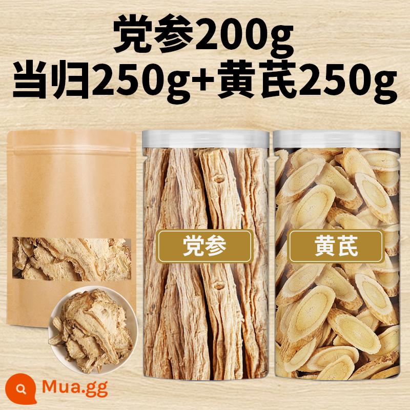 Gansu hoang dã astragalus 500g lát siêu lớn viên Beiqi đích thực Thuốc thảo dược Trung Quốc bạch chỉ nhân sâm ngâm trong nước hàng khô không có lưu huỳnh - 200g Codonopsis pilosula + 250g Angelica sinensis + 250g Xương rồng_