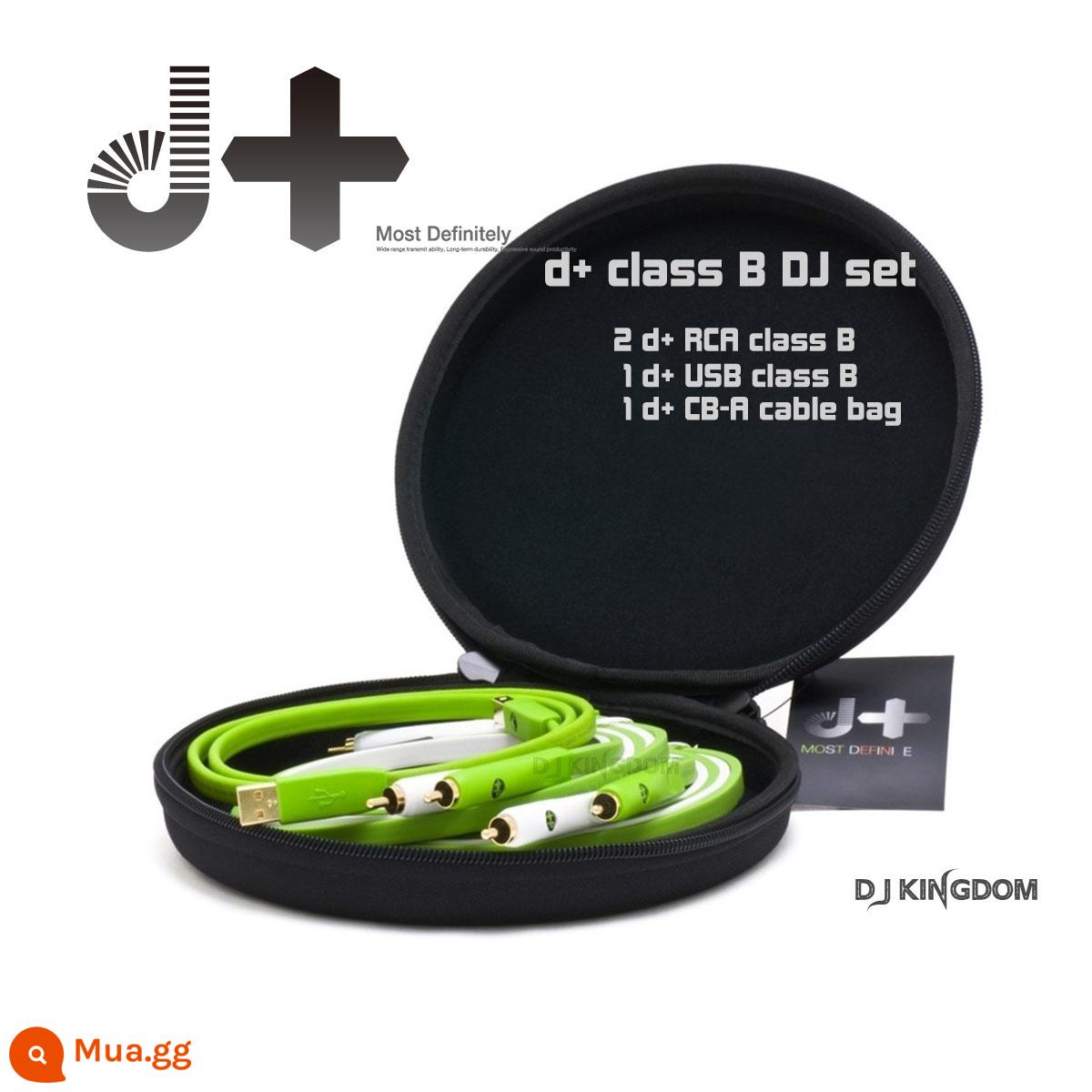 OYAIDE OO D+ RCA ClassB Classa Classs Lotus Line Audio - DJset