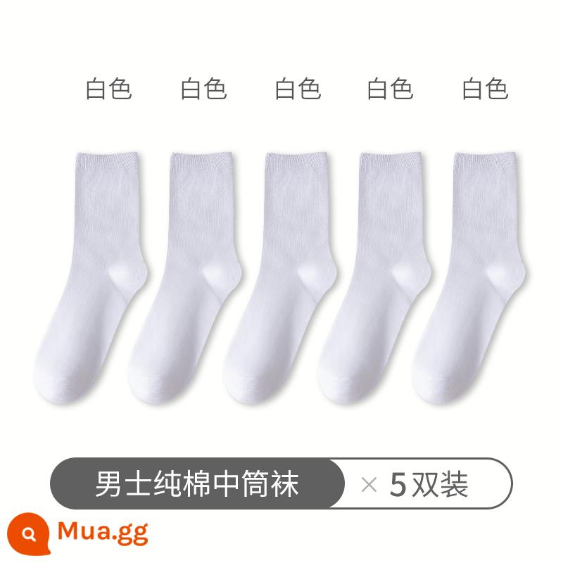 Tất Zhuji tất nam đến giữa bắp chân xuân thu cotton nguyên chất khử mùi và thấm hút mồ hôi tất cotton kinh doanh cotton đen dành cho nam giới - (5 đôi màu trắng)