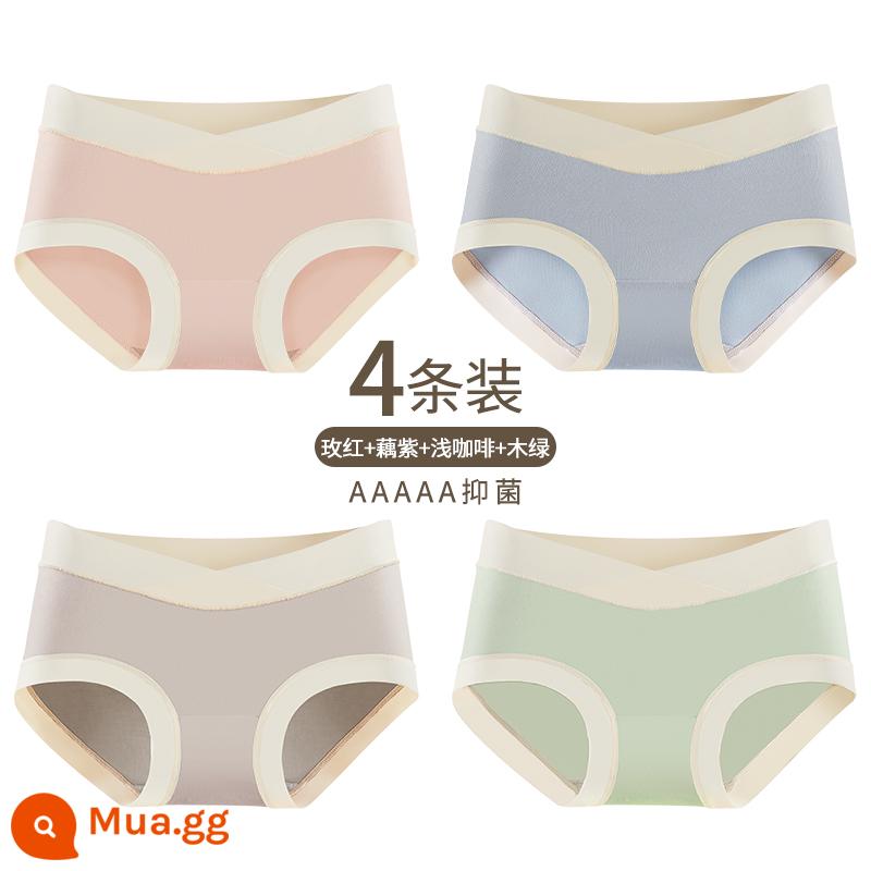 Yu Zhaolin Bộ Đồ Lót Cotton Nguyên Chất Đáy Quần Kháng Khuẩn Từ Giữa Đến Cuối Thời Kỳ Mang Thai Eo Thấp Hỗ Trợ Bụng Quần Short Tam Giác Đầu Modal - Hoa hồng đỏ + củ sen tím + cà phê nhạt + xanh gỗ