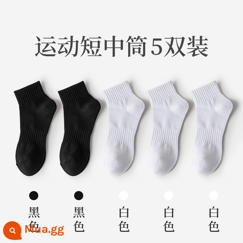 Vớ Zhuji nam mùa đông vớ ống giữa cotton nguyên chất thấm hút mồ hôi vớ cotton ấm vớ bông mùa đông vớ nam - Thùng ngắn (2 đen + 3 trắng)