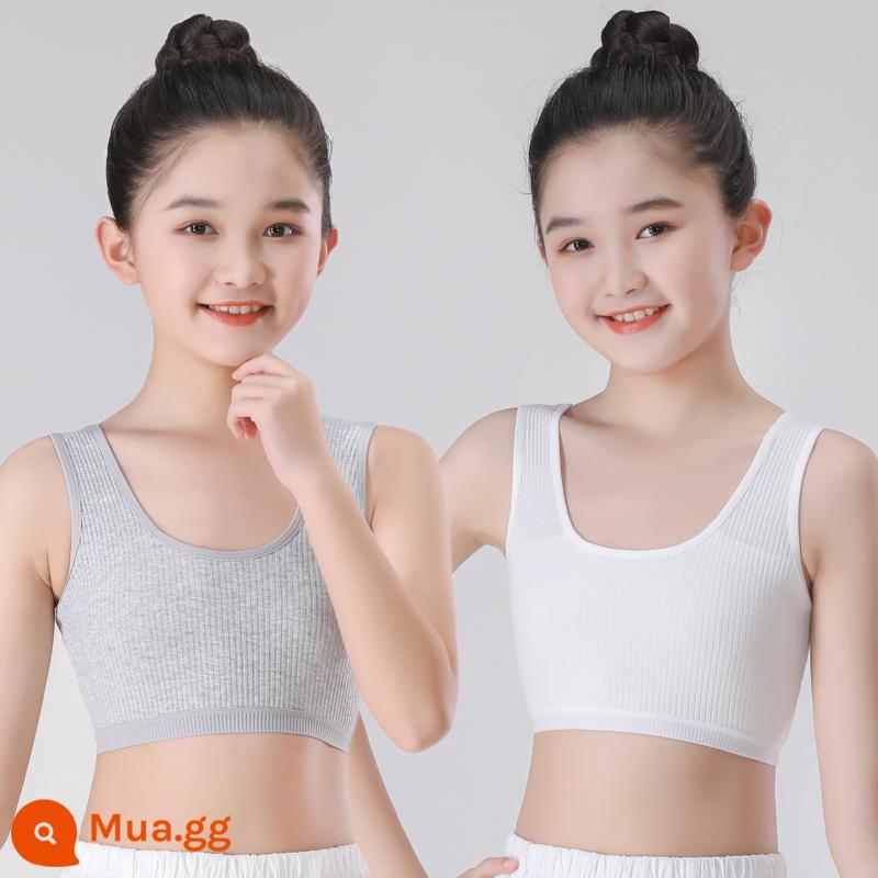 Đồ lót bé gái áo vest sling phát triển sớm cotton nguyên chất chống lồi ống áo ngực bé gái học sinh trung học cơ sở 8-16 tuổi - Xám + trắng [hai mảnh]