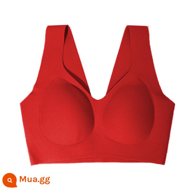 [Đồ lót Yuanbao nhỏ] Ives Red Vest Bra Ngực nhỏ được thu thập Không có dấu vết Đồ lót kháng khuẩn cho nữ - màu đỏ