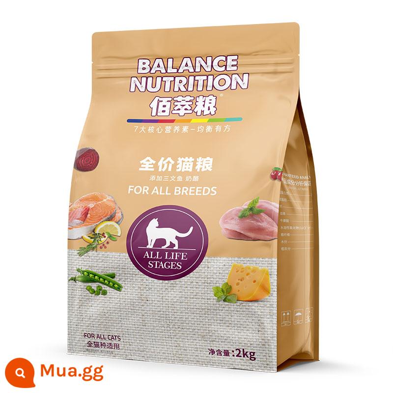 Thức ăn cho mèo con Mafudi bánh sữa thức ăn cho mèo 500g cho mèo con đang mang thai và cho con bú vỗ béo dinh dưỡng sandwich cá hồi nhuyễn thể - Phô mai baiculiang 2kg [có đủ kích cỡ]