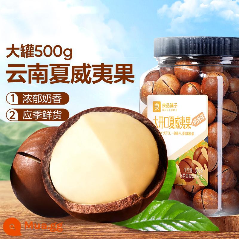 [BESTORE-Hạt Macadamia đóng hộp 500g] Trái cây sấy khô vị sữa Phụ nữ mang thai Các loại hạt sấy khô Món ăn vặt năm mới - [Khuyến nghị - quả cực lớn]Hạt Macadamia 500g × 1 lon (đường kính 24-26mm)