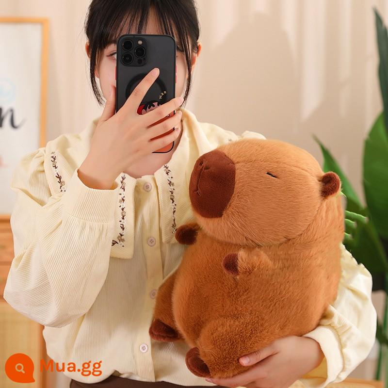 Capibala Búp Bê Chảy Nước Mũi Sang Trọng Đồ Chơi Búp Bê Capybara Bibala Cảm Xúc Ổn Định Mặt Dây Chuyền Quà Tặng Sinh Nhật - Capibala cỡ trung bình ngồi 33cm Không bao gồm Ba lô rùa