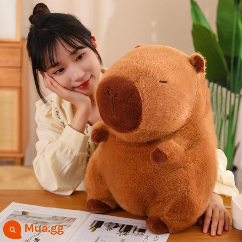 Capibala Búp Bê Chảy Nước Mũi Sang Trọng Đồ Chơi Búp Bê Capybara Bibala Cảm Xúc Ổn Định Mặt Dây Chuyền Quà Tặng Sinh Nhật - Tư thế ngồi Capibala lớn 45cm Không bao gồm Ba lô rùa