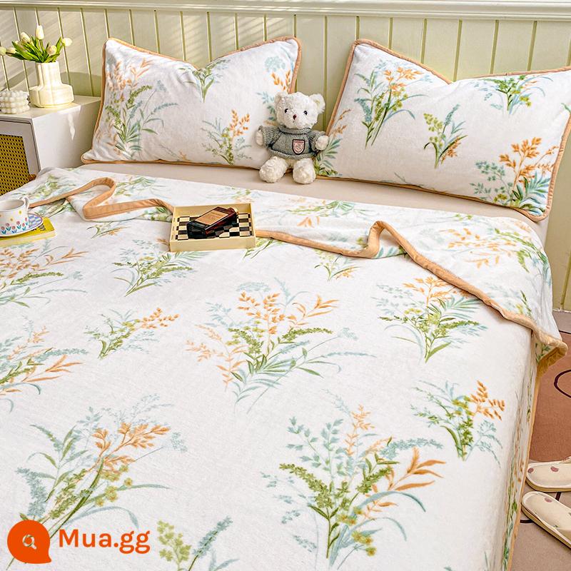 Ins flannel chăn mùa đông dày nhung san hô giường chăn nhỏ giường ngủ trưa sofa chăn xuân thu - Thạch cỏ GT JYJJ