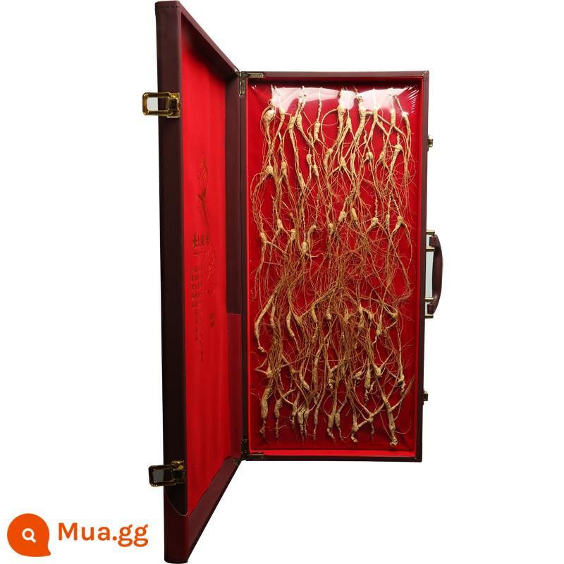 Linxiashan Ginseng Changbai Núi Ginseng Hộp quà tặng Hộp quà tặng Năm mới Quà - 66 Linxia Ginseng (Hộp quà 66 Dashun)