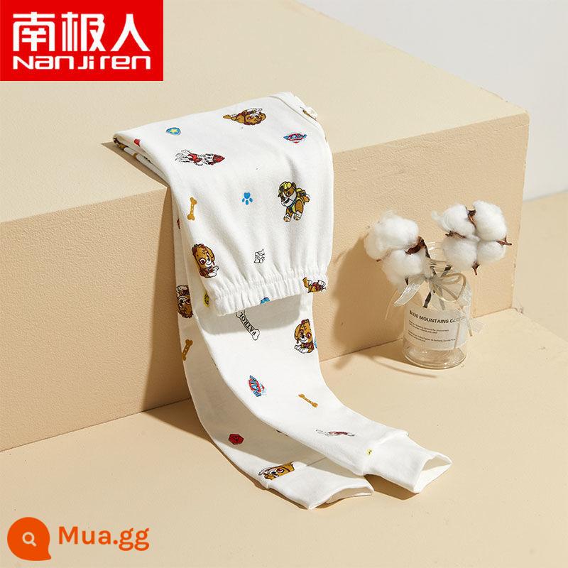 Quần cotton vệ sinh trẻ em quần mặc trong quần len cotton mỏng cho bé trai quần vệ sinh quần pyjama cho trẻ lớn vào mùa xuân và mùa thu - 26159