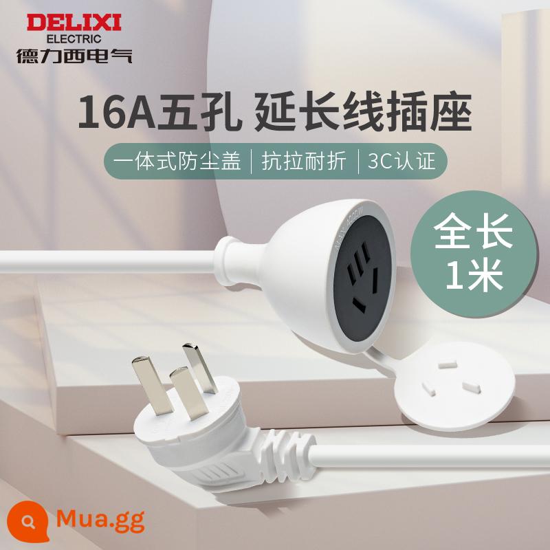 Delixi Dây Nối Dài Ổ Cắm Điện 3 Nhân Cắm Quạt Bảng Dây Xe Điện Dây Nối Dài 0.6/3/5 Mét - [Công suất cao 16A] Tổng chiều dài 1 mét/16A 3 lỗ + 10A 2 lỗ/có nắp che bụi