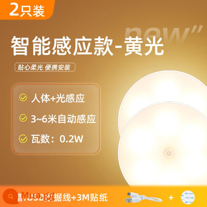 Delixi cơ thể con người cảm ứng đèn ngủ LED phòng ngủ ngủ đầu giường bé và bảo vệ mắt trẻ em khi cho con bú USB điều khiển từ xa thông minh - Model cảm biến thông minh★ Đèn vàng 0,2W (2 chiếc)