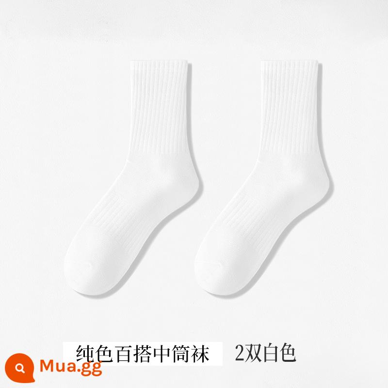 Tất Nam Xuân Thu Cotton Giữa Bắp Chân Thấm Hút Mồ Hôi Và Thoáng Khí Mùa Đông Dày Dài Trắng Đen Đôi Tất Thể Thao - 2 đôi - trắng