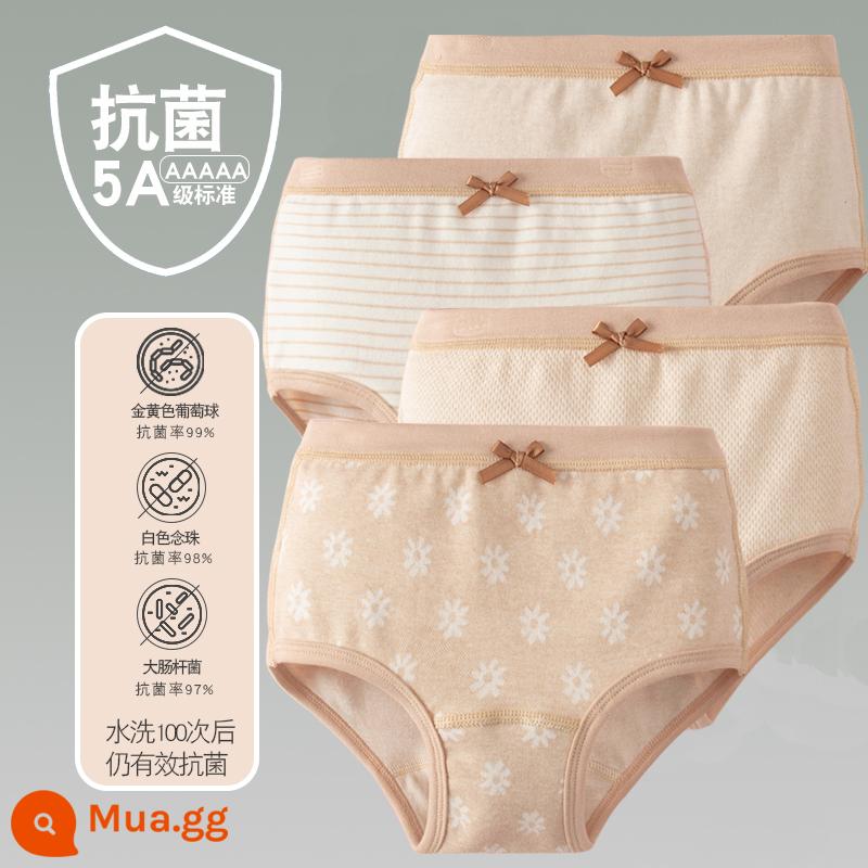 Quần lót trẻ em cotton bé gái quần lót boxer quần trẻ em tam giác trẻ em 2-18 tuổi cotton màu kháng khuẩn không dấu vết - 4 Pack-23 Cô Gái Bốn Mùa Dải Màu Nâu Hình Tam Giác Hoa Cúc Màu Nâu Gạo