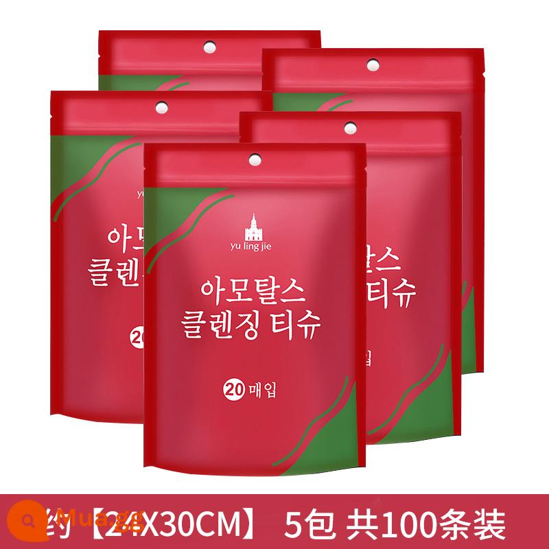 Khăn nén, khăn mặt dày dùng một lần, đồ tạo tác du lịch, khách sạn ngoài trời, gói kẹo hạt lớn di động - 5 túi/100 miếng [lớn hơn và dày hơn] 24*30 cm