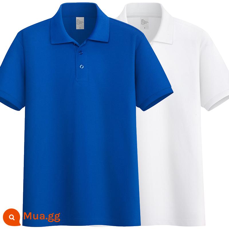 220G Cotton Áo Sơ Mi Áo Thun Nam Ngắn Tay Ve Áo Rời Đồng Màu Trung Niên Piqué Cotton Mùa Hè Ralph Lauren Áo Sơ Mi - Xanh sapphire + trắng