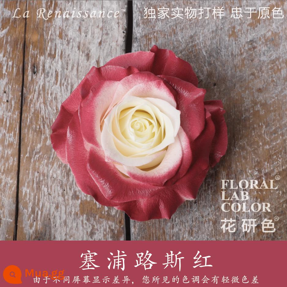 Flower Research color phun sơn phun màu đại lý thuốc nhuộm tóc chính hãng Michigan crush ice blue cao cấp màu Morandi - Đảo Síp Đỏ 59#